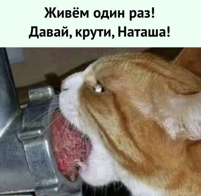 Дичка воскресная