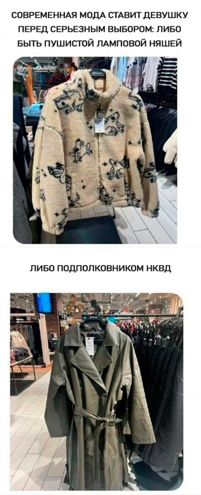Дичка воскресная