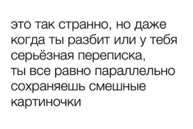 Дичка сухофруктная сушёная