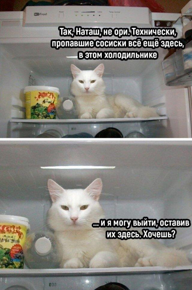 Дичка сухофруктная сушёная