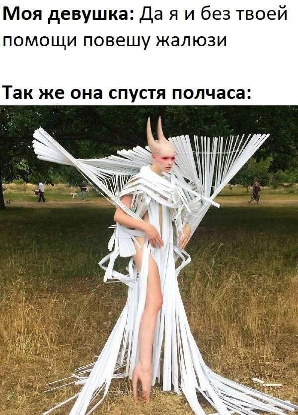 Дичка сухофруктная сушёная
