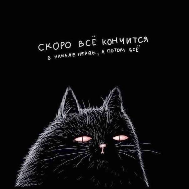 Дичка сухофруктная сушёная