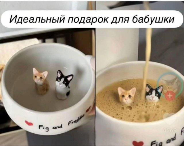 Дичка сухофруктная сушёная