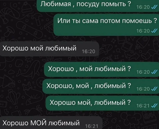Дичка сухофруктная сушёная