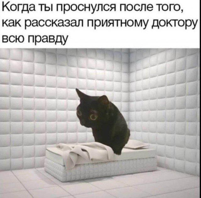 Дичка сухофруктная сушёная