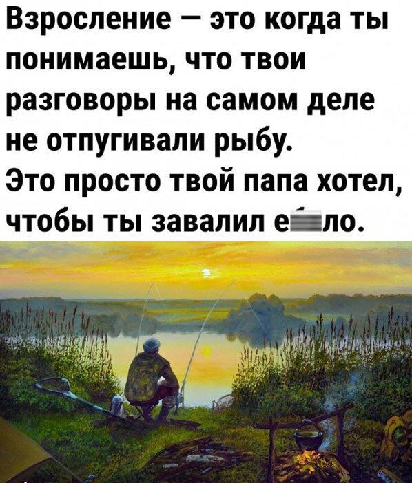 Дичка сухофруктная сушёная