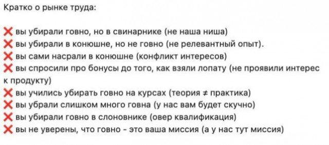 Дичка сухофруктная сушёная