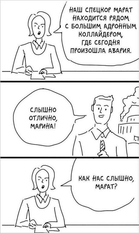 Дичка сухофруктная сушёная