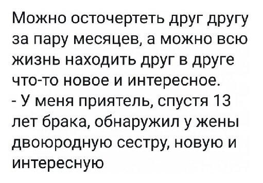 Дичка сухофруктная сушёная
