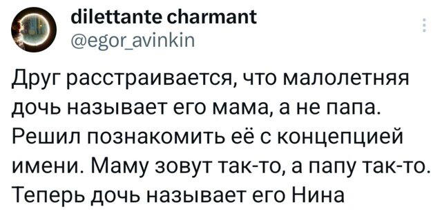 Дичка сухофруктная сушёная
