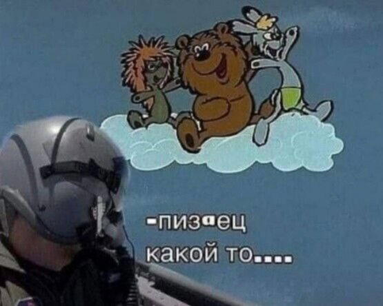 Дичка сухофруктная сушёная