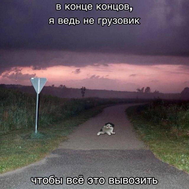 Дичка сухофруктная сушёная
