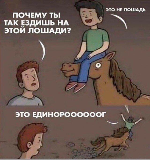Дичка сухофруктная сушёная