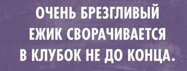 Дичка сухофруктная сушёная
