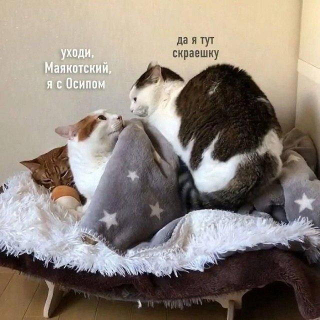 Ну и дички в пятницу..