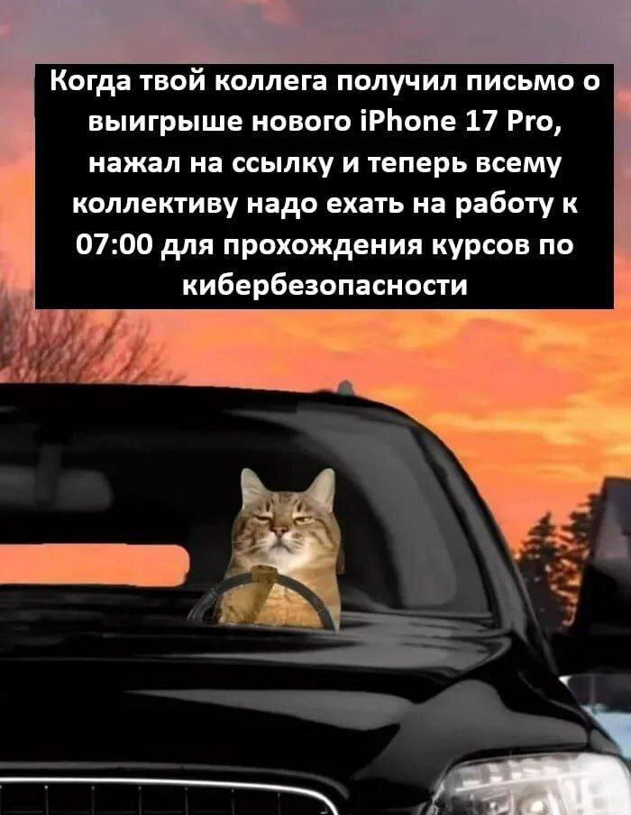 Дичи в субботу, всем улыбок