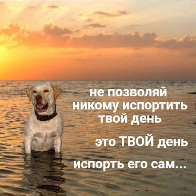Дичи в субботу, всем улыбок