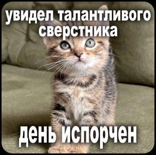Дичи в субботу, всем улыбок