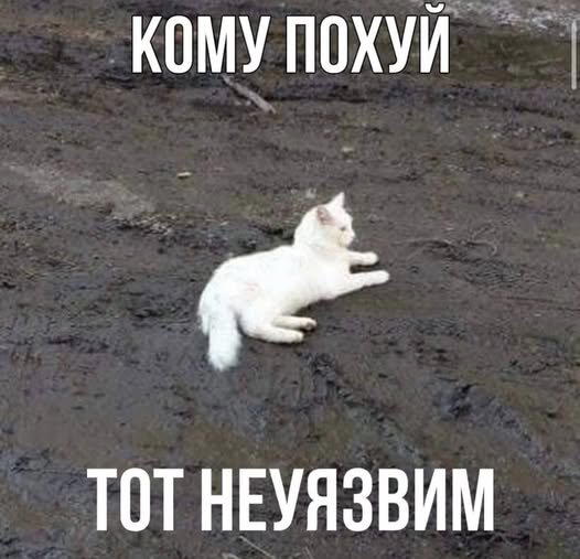 Дичи в субботу, всем улыбок