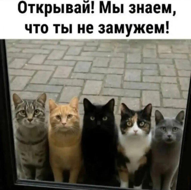 Дичи в субботу, всем улыбок