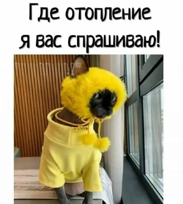 Дичь выходного дня