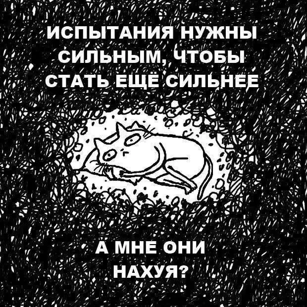 Дичь выходного дня