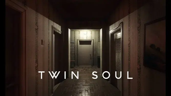 Постер Twin Soul