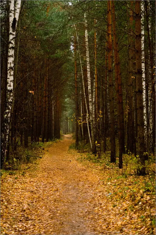 Осеннее