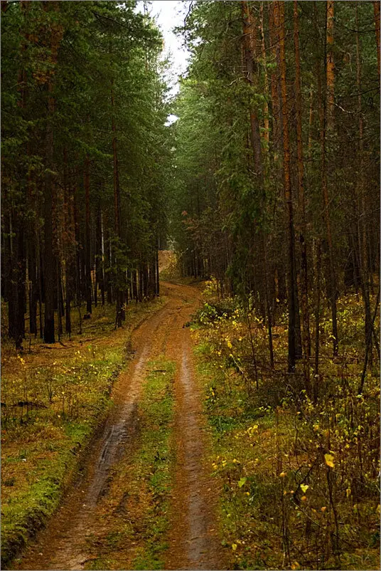 Осеннее
