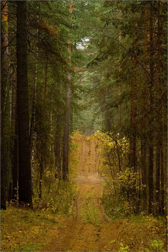 Осеннее