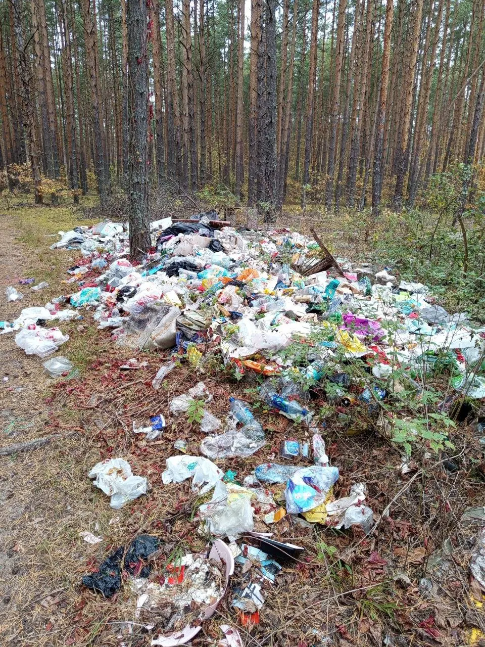 Легендарная свалка рядом с деревней Старые Омутищи Владимирской области.