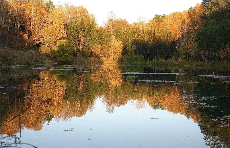 Лесное озеро