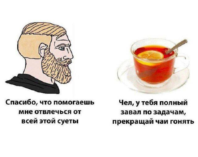 Дичка на четверг, выбор был лютый.
