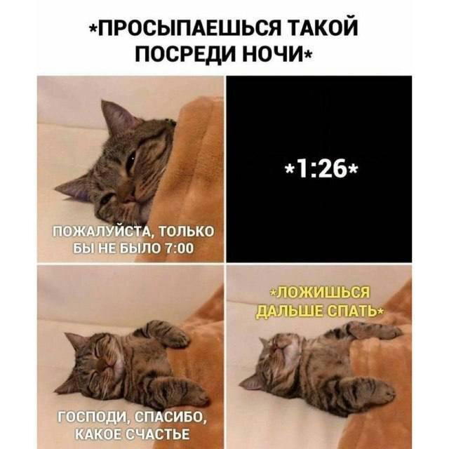Дичка на четверг, выбор был лютый.