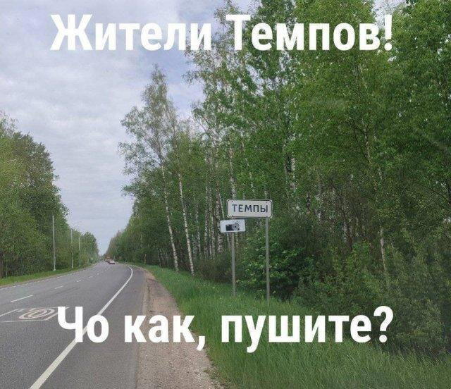 Дичка на четверг, выбор был лютый.