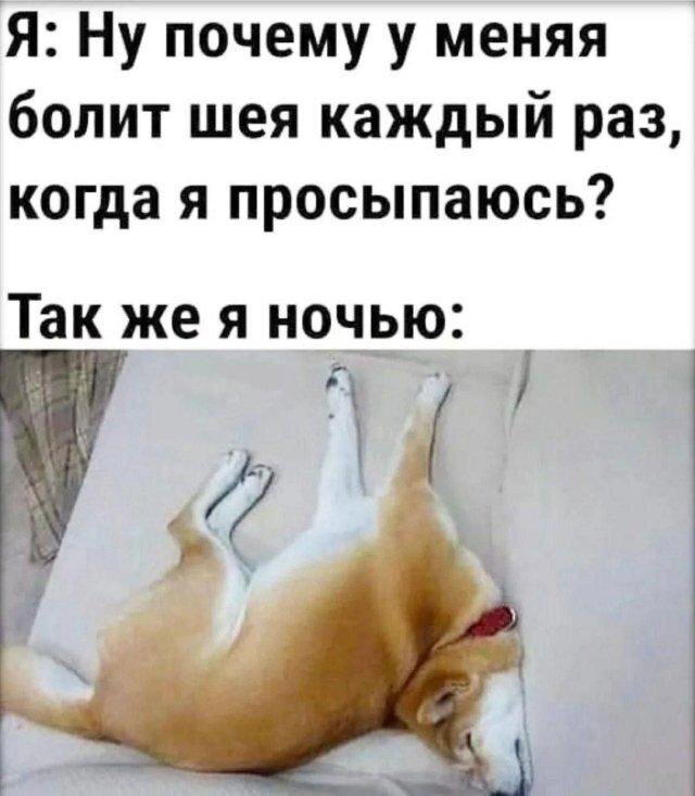 Дичка на четверг, выбор был лютый.