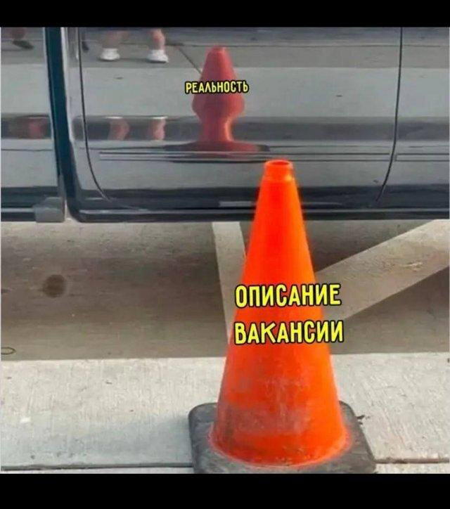 Дичка на четверг, выбор был лютый.