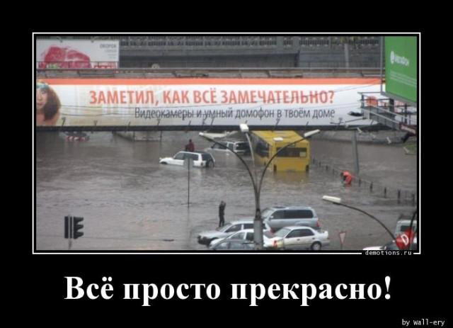 Дичка на четверг, выбор был лютый.