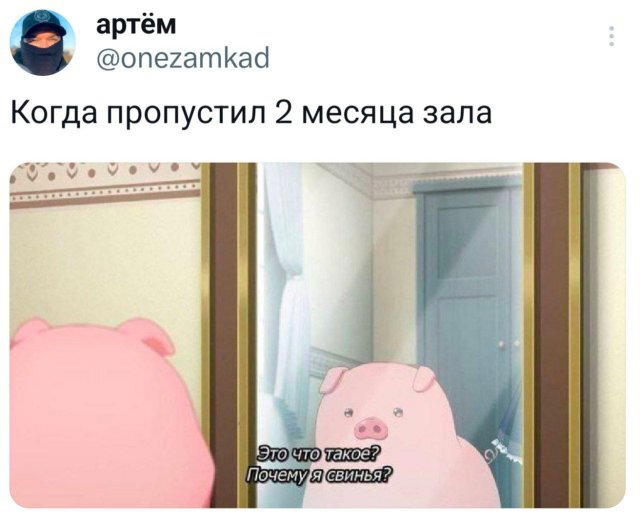 Дичка на четверг, выбор был лютый.