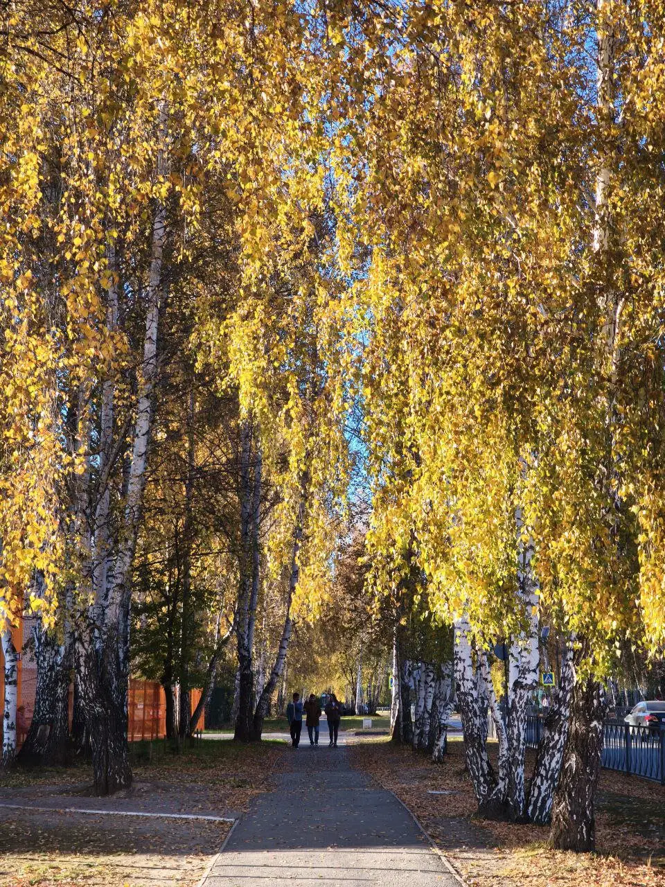 Золотая осень