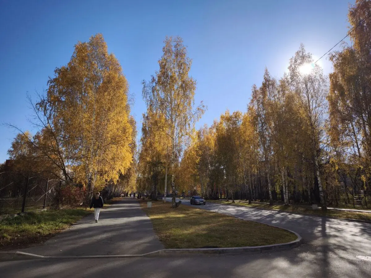 Золотая осень