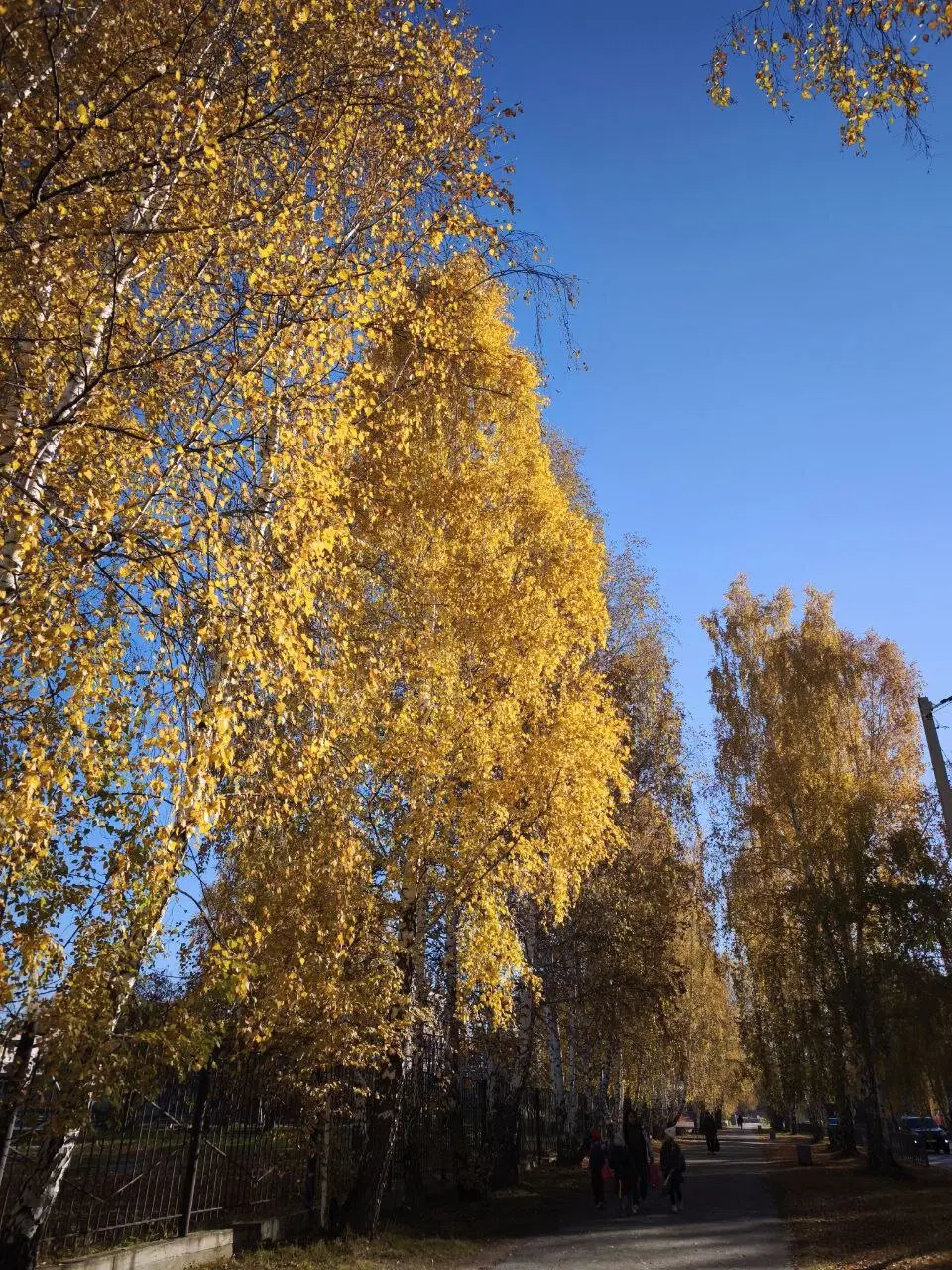 Золотая осень