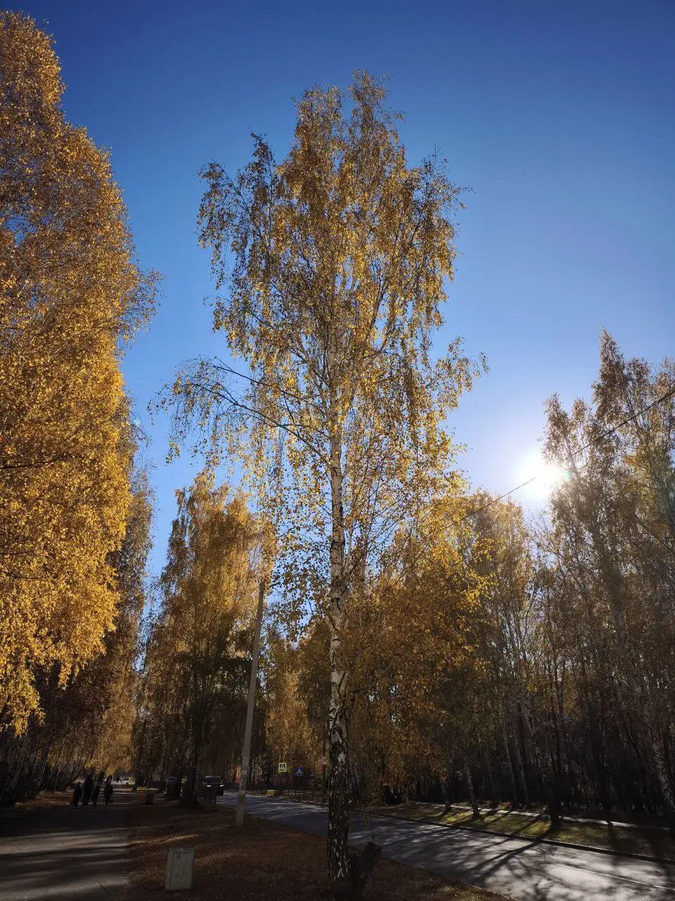 Золотая осень