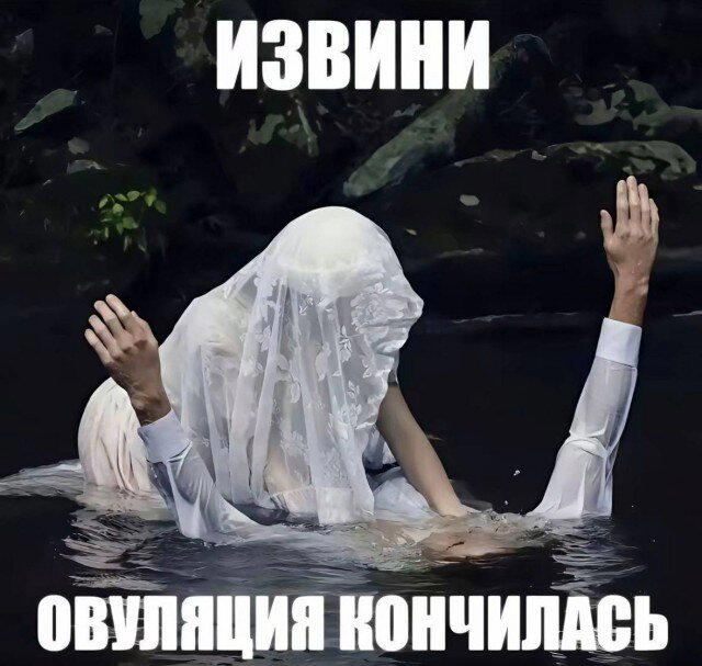 Дичка на пятницу