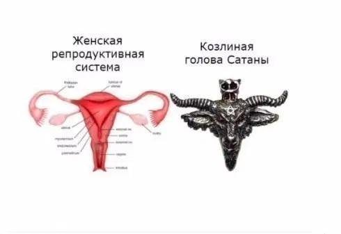 Ивент Вомбата. Матка