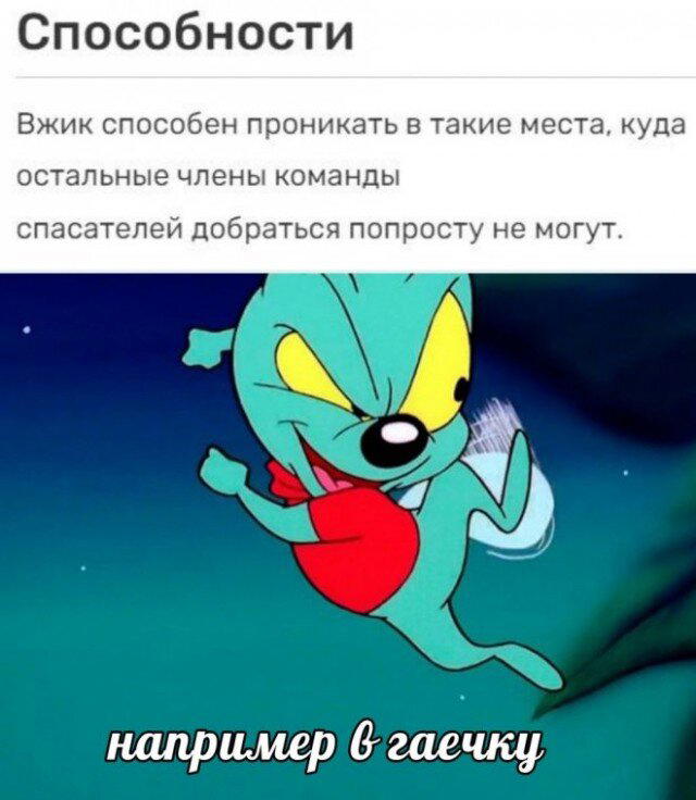 Дичкины выходные