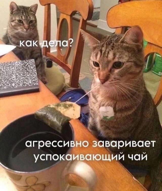 Дичкины выходные