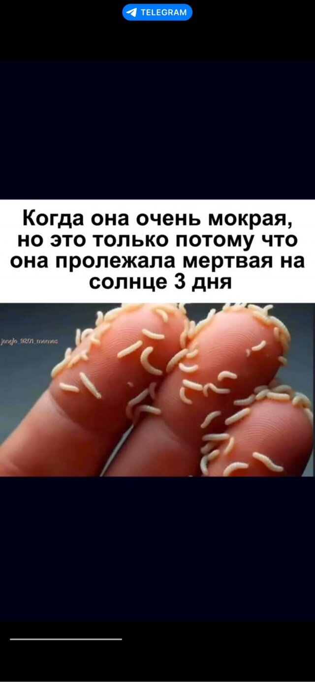 Дичкины выходные
