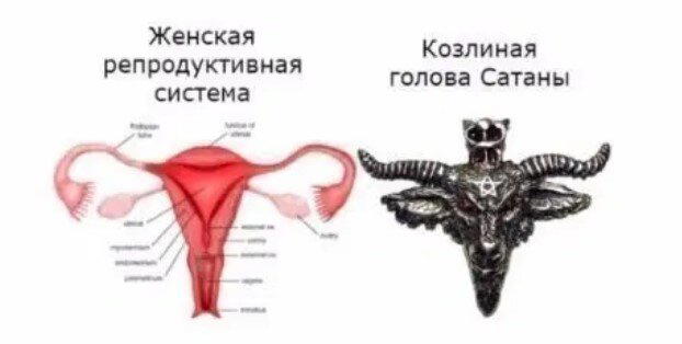 Ивент Вомбата. Слово недели - Рассольник