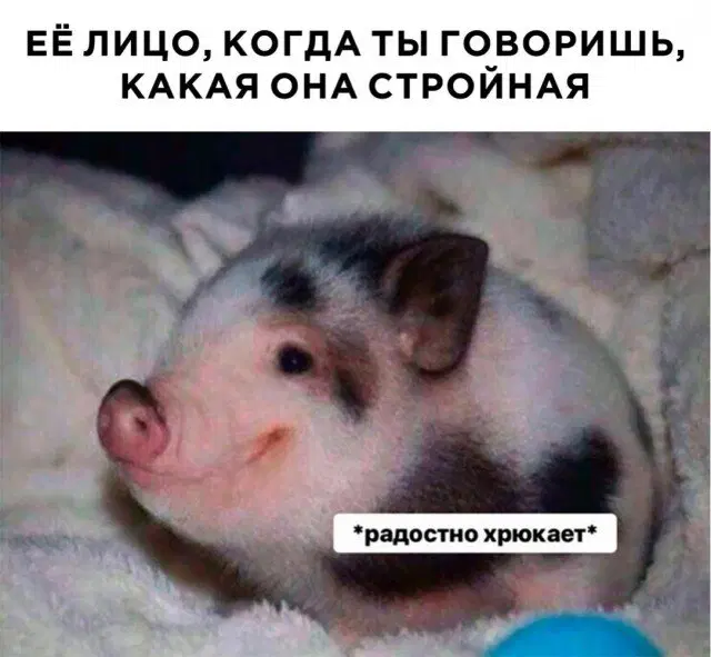 Среда не повод жить без дичи